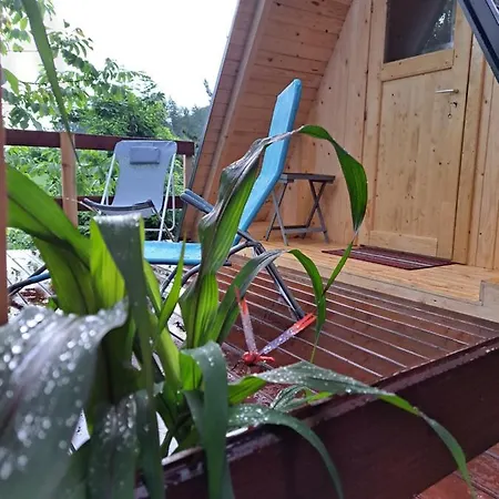 Luxe tent Ozy's Place