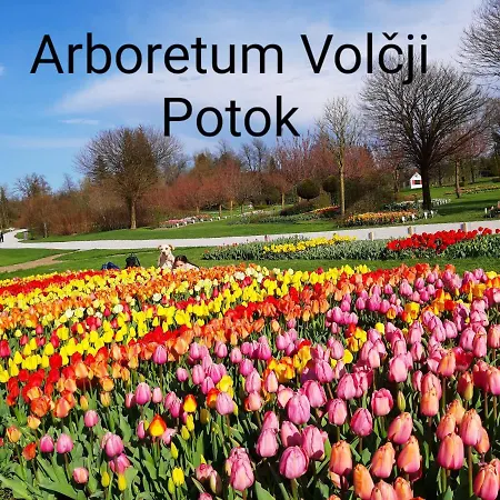 Ozy's Place * Kamnik