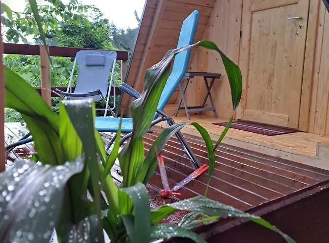 Luxe tent Ozy's Place