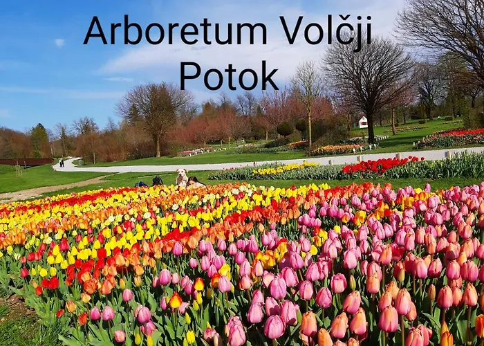 Ozy's Place * Kamnik